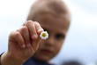 Young little boy with the daisy in his hand