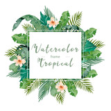 Fototapeta Kwiaty - Watercolor jungle frame with tropical palm leaves. Hand drawn illustration exotic green leaf with background. Square horizontal banner