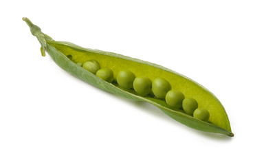 Open pea pod, isolated on a white background