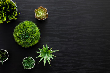 Wall Mural - Black desk with green plants. Copy space.