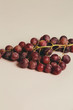 © Tessa - Ramo uvas rojas