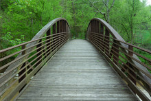 Wooden Footbridge Amidst Trees In Forest
