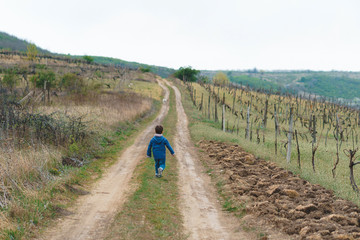 Wall Mural - boy running away at vinery