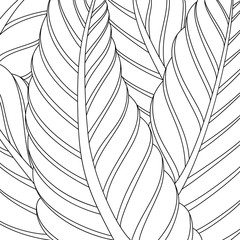  Geometric abstract background with leaves. Black and white template for card, invitation, textile and wrapping. Adult coloring books. Hand draw vector Illustration.