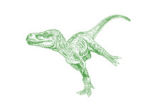 Graphical Green Sketch Of Raptor Isolated On White Background,vector Illustration, Dinosaur
