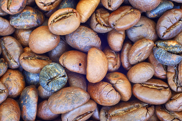 Roasted coffee beans