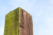 © Anthony - Isolated brown painted and weather proofed fence post with the brown weathered paint on the one side and green moss growing on the other. Set against a blue cloudy sky.