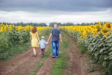 Wall Mural - A young family of 3 people walking in a field of sunflowers.