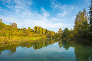 Wall Mural - river in a delightful autumn forest at sunny day