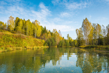 Wall Mural - river in a delightful autumn forest at sunny day