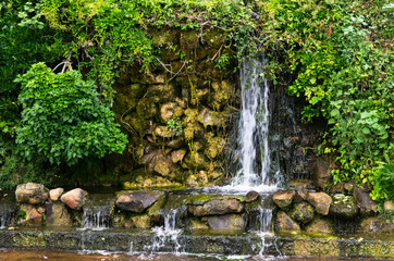 Wall Mural - Landscape waterfall overgrown with plants