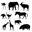set of slhouettes of african animals (ostrich, giraffe, elephant, zebra, warthog, nyala, flamingo, pigmy hippo) vector isolated on white background