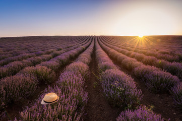 Wall Mural - stunning view with a beautiful lavender field at sunset