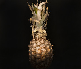 Pineapple ,  incredibly delicious and healthy tropical fruit