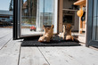 © Cavan Images - mans boots on a mat at the back door on a balcony at home