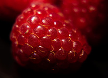 Close Up Red Raspberry With Details On Black Background