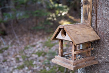 Wooden Bird And Squirrel Feeder On A Canadian Park Trail.