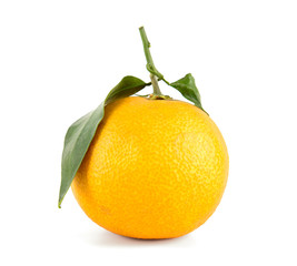 Fresh Japanese Ehime Prefecture orange isolated on white background.