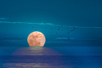 Wall Mural - A romantic full moon rise over the Mediterranean in Spain. There are only small waves and a flock of migratory birds pass by on the horizon. There are few clouds in the sky.