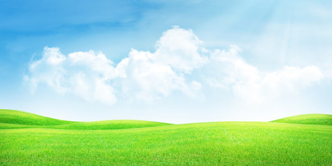 green grass field and clear blue sky