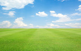 Fototapeta Sypialnia - Green grass field and blue sky with clouds