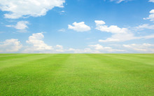 Green Grass Field And Blue Sky With Clouds