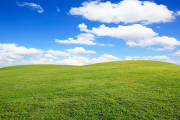 Wall Mural - Green grass field and blue sky with clouds