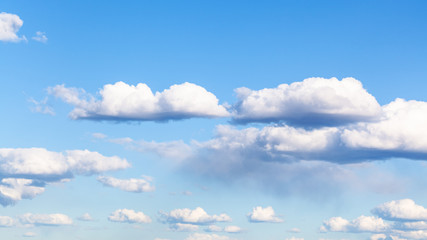 Wall Mural - nanural panoramic background - many small cumulus clouds in blue sky on March day
