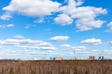 Wall Mural - blue sky with white cumulus clouds over city park and residential district on sunny March day