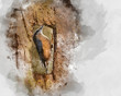 Digitally created watercolor painting of Beautiful Nuthatch garden bird Sitta Europaea in Spring sunshine on branch in tree