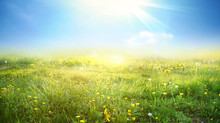 Beautiful Meadow Field With Fresh Grass And Yellow Dandelion Flowers In Nature Against A Blurry Blue Sky With Clouds. Summer Spring Natural Landscape.