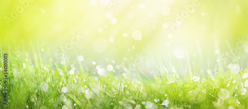 Natural herbal background. Juicy lush green grass on meadow with drops of water sparkle in morning light, spring summer outdoors, wide format. Beautiful artistic image purity and freshness of nature.