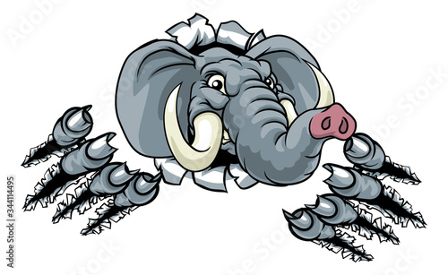 A tough mean looking elepha...