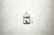 freedom minimal concept, bird in an open cage