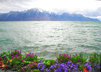 Lake with green waters, beautiful flowers, blue high Alps mountains.