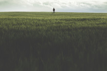 Man Walking Alone On A Wide Grass Field Outdoor