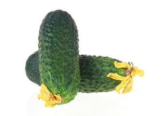 Two fresh and ripe cucumbers isolated on a white background