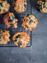 Wall Mural - Homemade vegan blueberry muffins on cooling rack. Vegetarian egg-free muffins on dark background. Vertical. Top view or flat lay. Copy space for text or design.