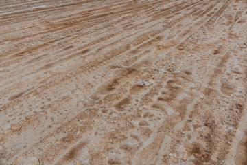 Wall Mural - Dried muddy dirt road rut texture