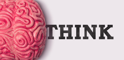 Wall Mural - Think word next to a human brain model