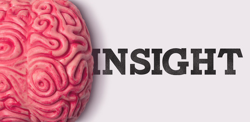 Wall Mural - insight word next to a human brain model