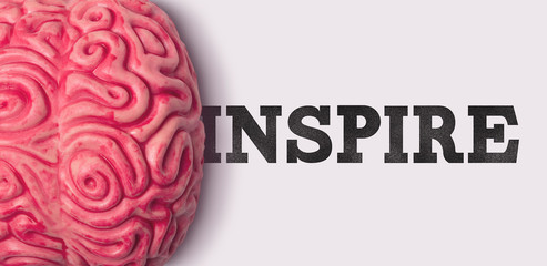 Wall Mural - Inspire word next to a human brain model
