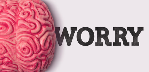 Wall Mural - Worry word next to a human brain model