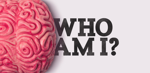 Wall Mural - Who am i word next to a human brain model