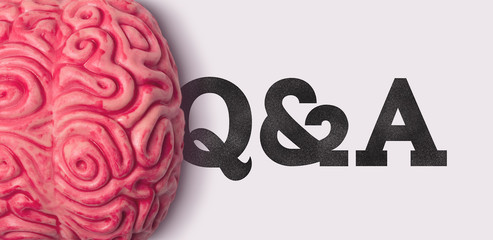 Wall Mural - Q and A word next to a human brain model