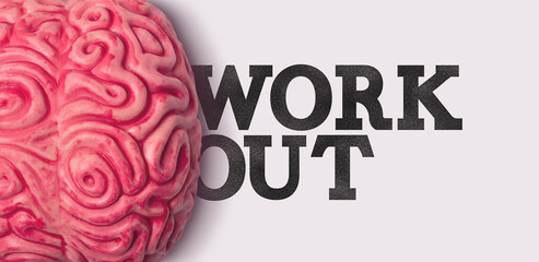 Wall Mural - Work out word next to a human brain model