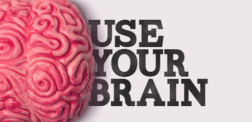 Wall Mural - use your brain word next to a human brain model