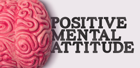 Wall Mural - Positive mental attitude word next to a human brain model