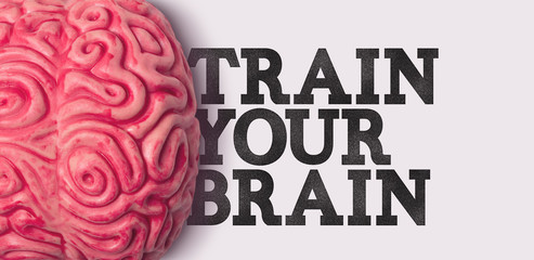 Wall Mural - Train your brain word next to a human brain model