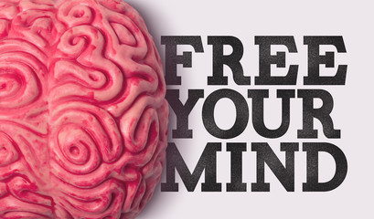 Wall Mural - Free your Mind word next to a human brain model